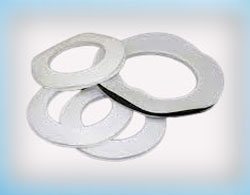 PTFE Gasket